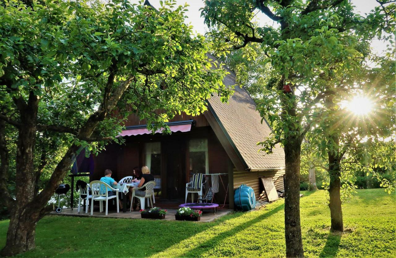 Ferienhaus Ederer Waldmunchen Bagian luar foto