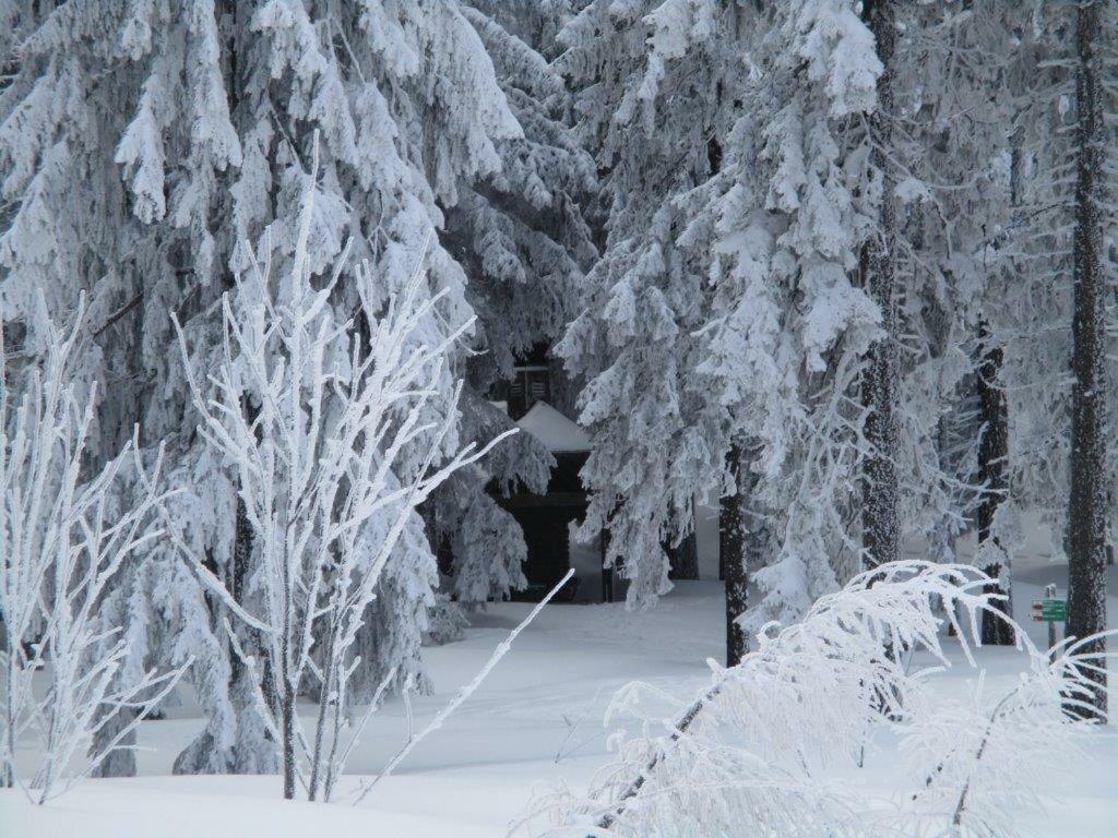 Ferienhaus Ederer Waldmunchen Bagian luar foto