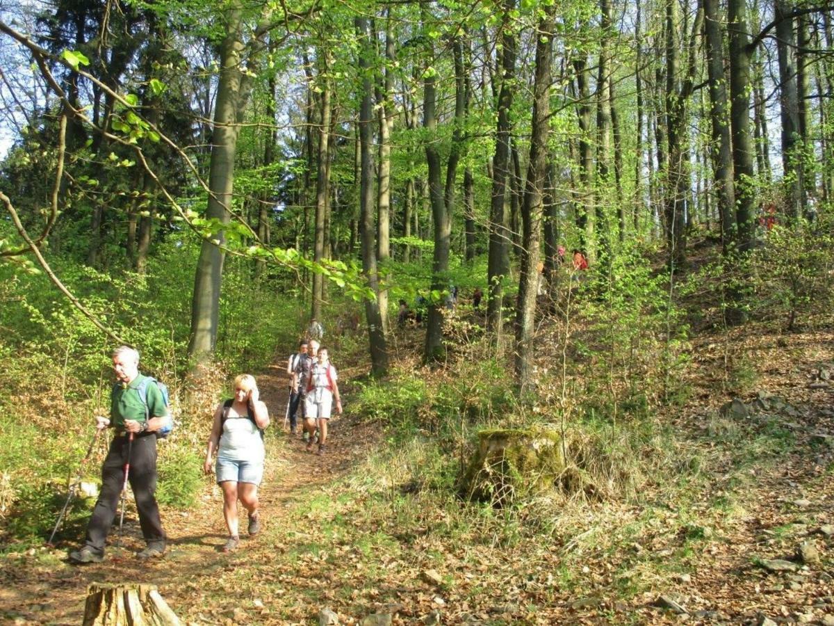 Ferienhaus Ederer Waldmunchen Bagian luar foto