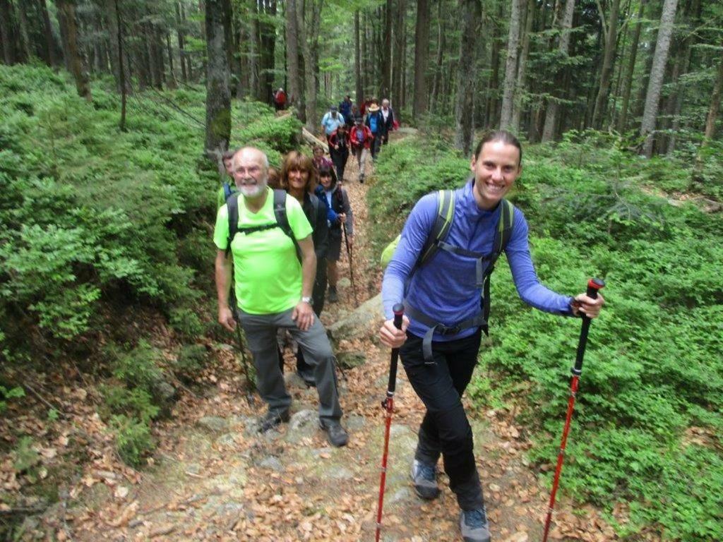 Ferienhaus Ederer Waldmunchen Bagian luar foto